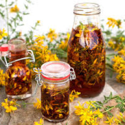 Звіробою олія (мацерат) 100 мл